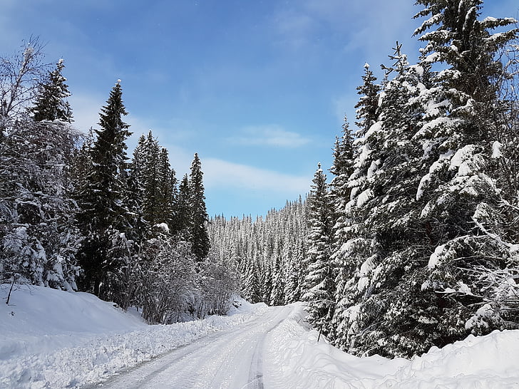 Χειμώνας, τοπίο, Χειμερινά τοπία, Νορβηγία, Σκανδιναβία, χιόνι, γραμμή της όρασης