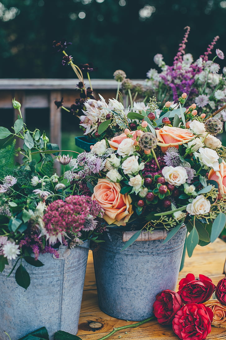 tanaman, bunga, dekorasi, banyak, mawar, ember, kelopak bunga