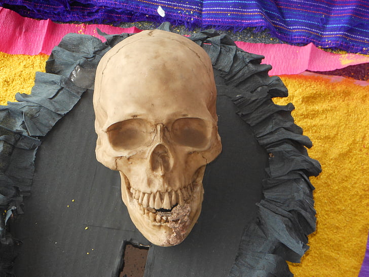 skull, day of the dead, mexico