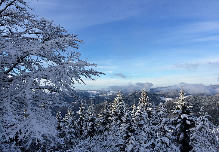 Schwarzwald, vinter, solen, sne, Sky, skydække, landskab
