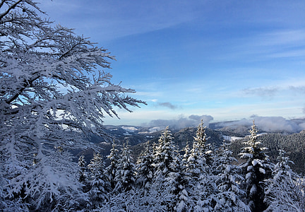 Schwarzwald, Winter, Sonne, Schnee, Himmel, Bewölkung, Landschaft