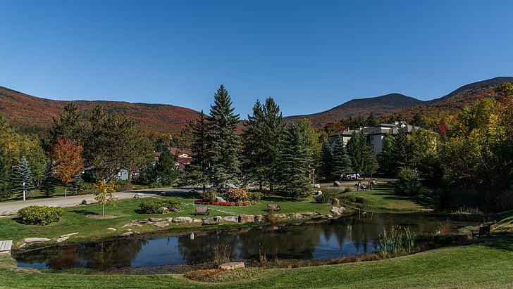 Vermont, rybník, hory, listoví, podzim, na podzim, krajina