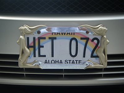 번호판, 하와이, 큰 iland, 알로하 상태, 텍스트, 통신, 실내