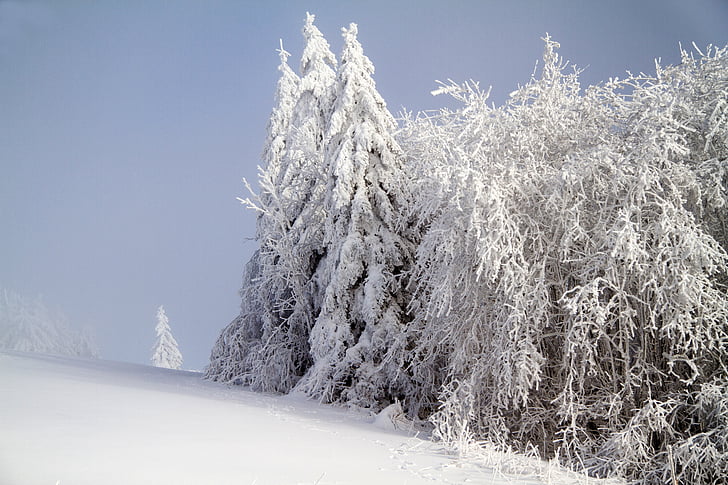 mùa đông, tuyết, wintry, hochrhoen, Wasserkuppe, mùa đông Rhön, tuyết rơi