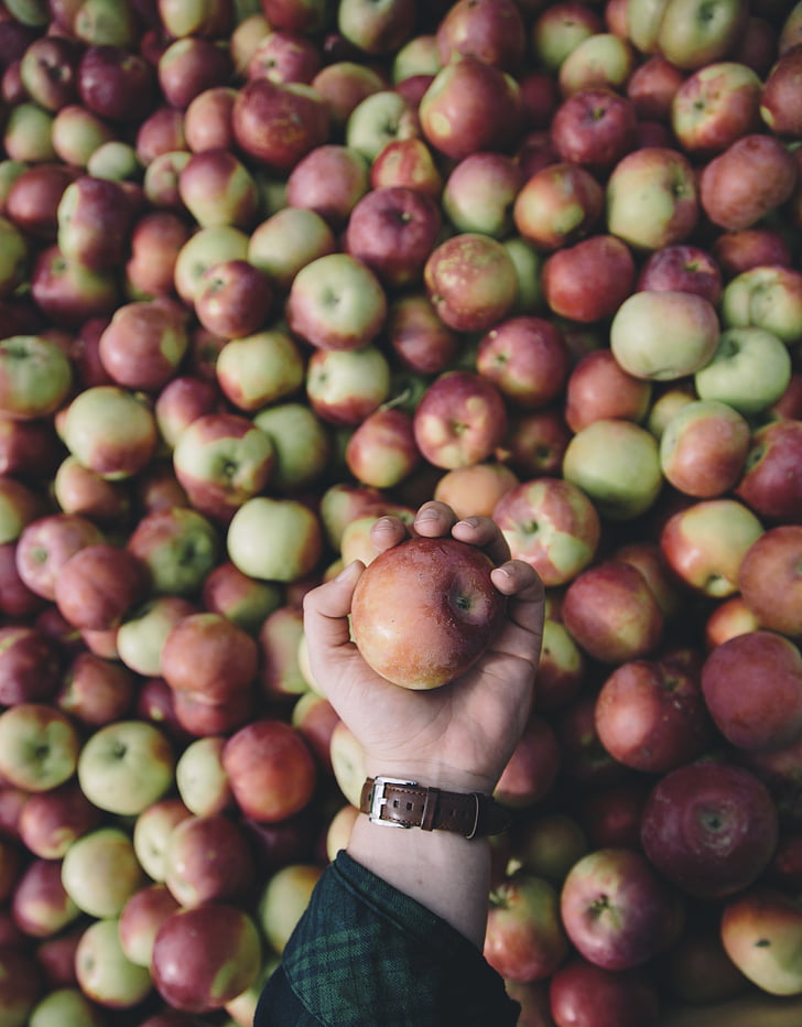 Poma, pomes, Hort de pomes, Sa, fruita, aliments, vermell