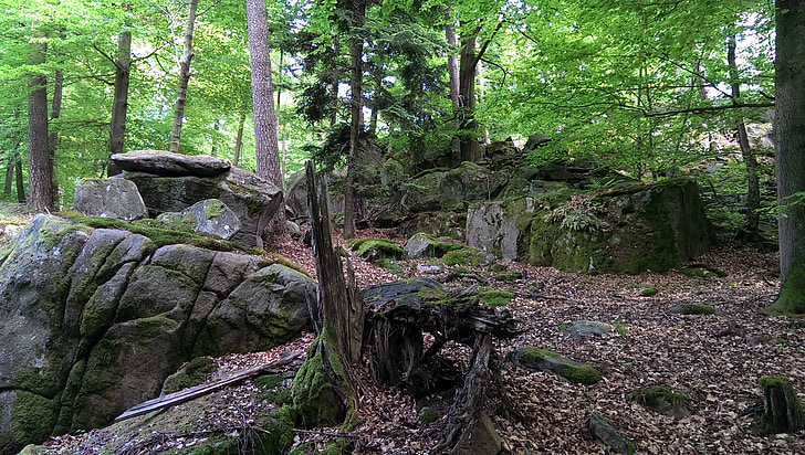 Odenwald, trilha, floresta, árvore, rocha, natureza