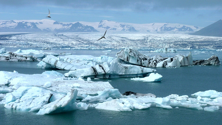jäävuori, Islanti, jäätikkö, Arctic, Ice, jäävuori - jään muodostuminen, lumi