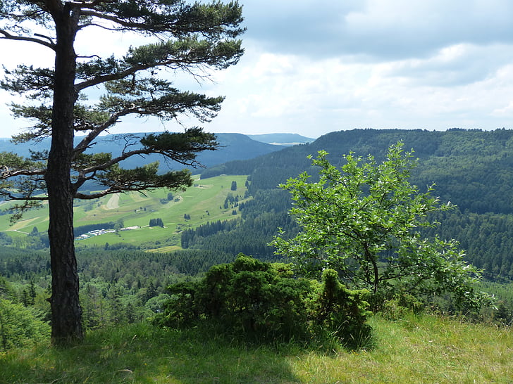 point de vue, vue à distance, Mont-Sheep, Jura Souabe, Zollernalb, eaves Alb, randonnée