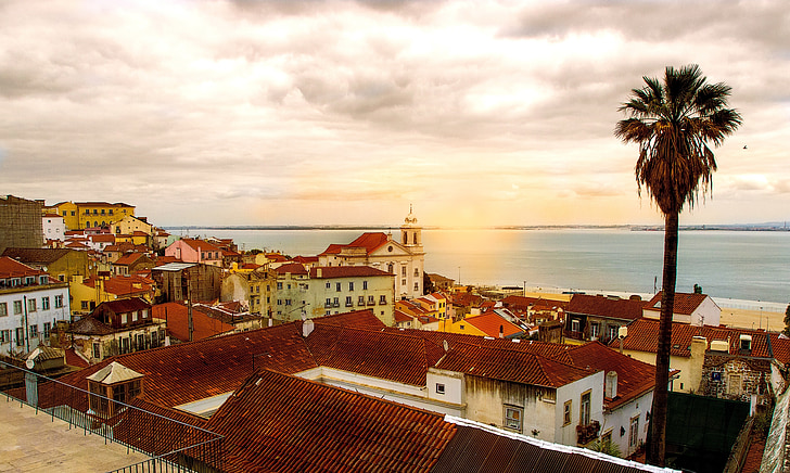 Lisbona, Portogallo, città, capitale, mare, orizzonte, albero di Palma