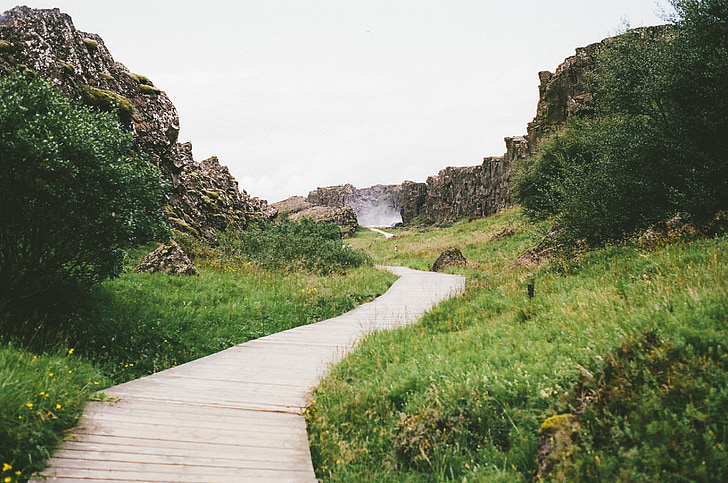 İzlanda, tektonik, doğa, manzara, kaya, tektonik, Thingvellir