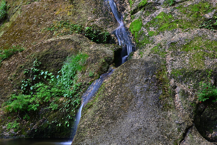 brook, water, creek, rock, moss, mountain, natural water