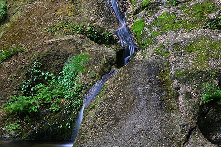 Arroyo de la, agua, Creek, roca, Moss, montaña, agua natural
