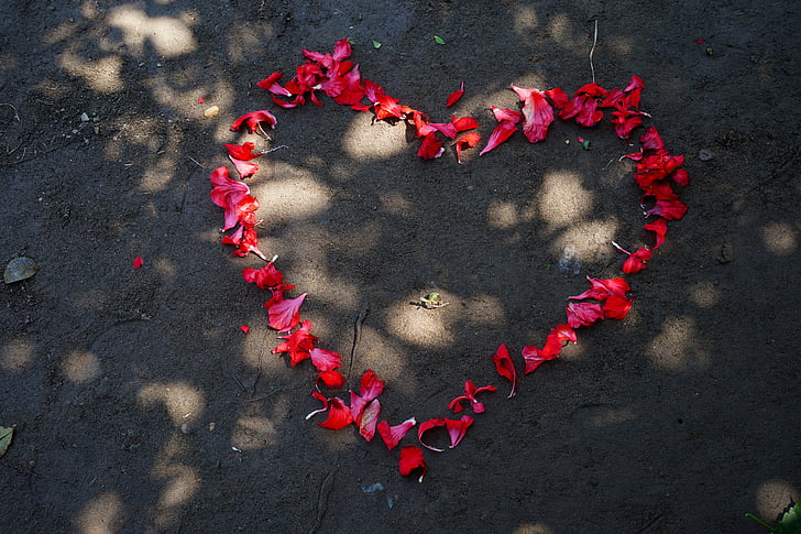 ziedi, mīlu, romantika, sirds, laimīgs, ziedlapas, sarkana