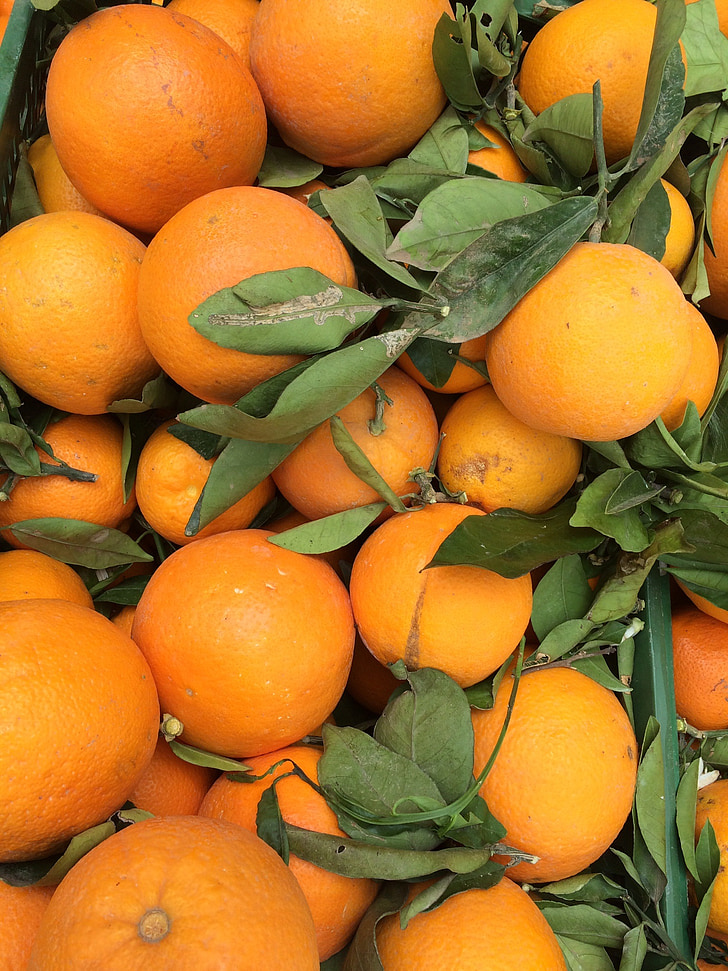 oranges, market stall, orange, nature