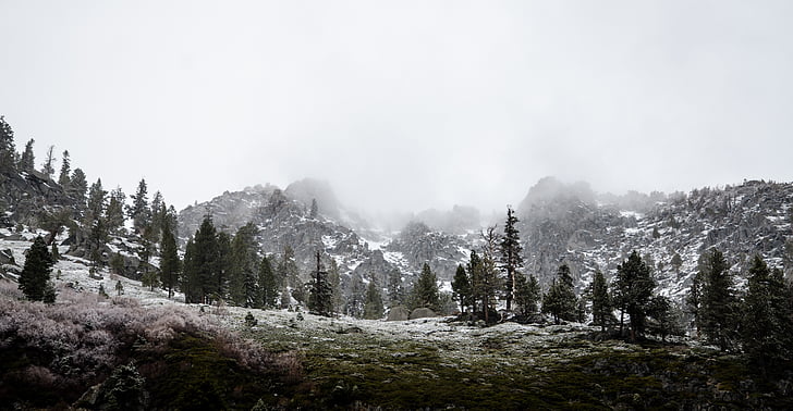 landscape, photo, snow, filled, forest, near, mountains
