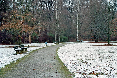 parka, daleko, pješačke staze, parkovi, drvo, priroda, Zima