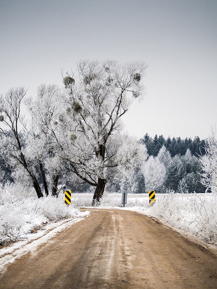 winter, dirt, road, snow, trees, forest, nature