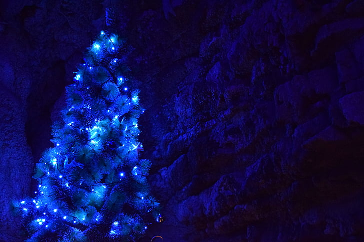 คริสมาสต์, ต้นคริสต์มาส, สีฟ้า, หิมะ, คืน, ลูกบอลคริสต์มาส, ตกแต่ง