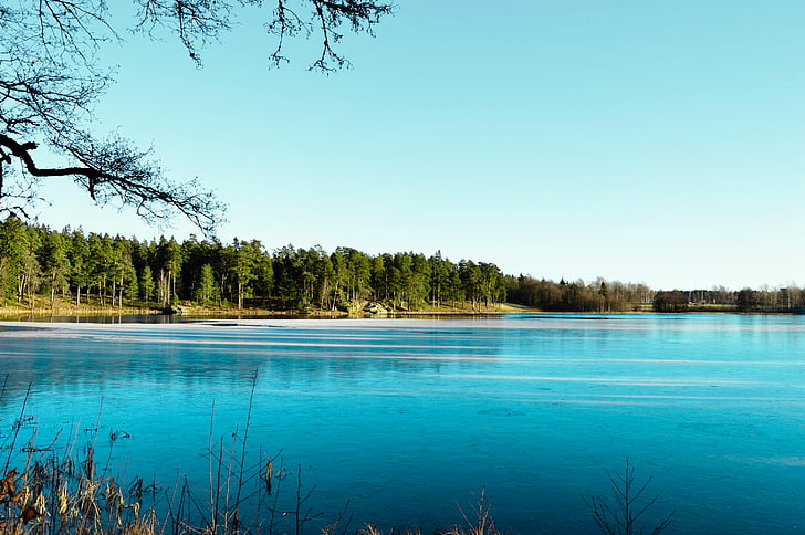 puud, Lake, vee, loodus, taevas, muru, seiklus