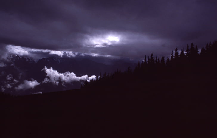fosc, nit, núvols, cel, arbres, natura, ombra