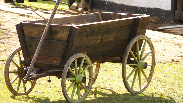 wagon, carriage, field, horses