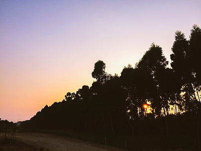 backlit, amanhecer, estrada de terra, Crepúsculo, paisagem, natureza, ao ar livre