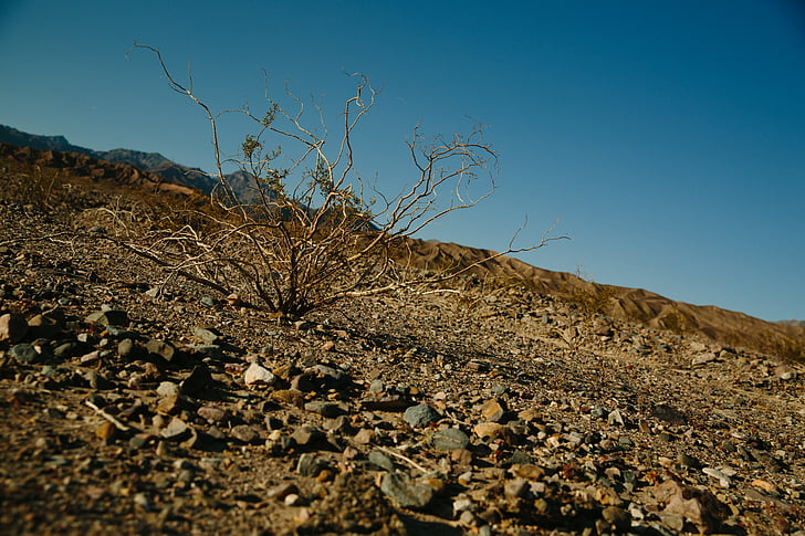 arid, barren, desert, drought, dry, ground, landscape