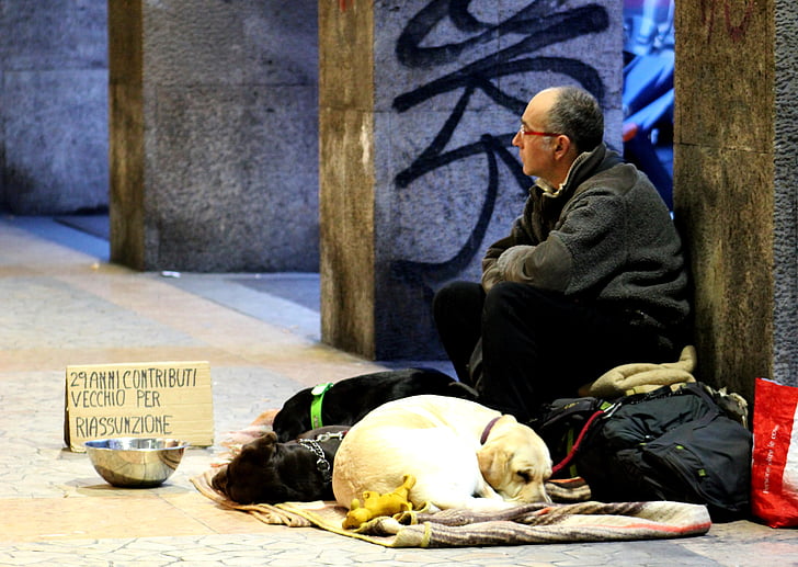 Mann, Mann auf der Straße, Obdachlose, Einsamkeit, Straße, Hund, Hunde