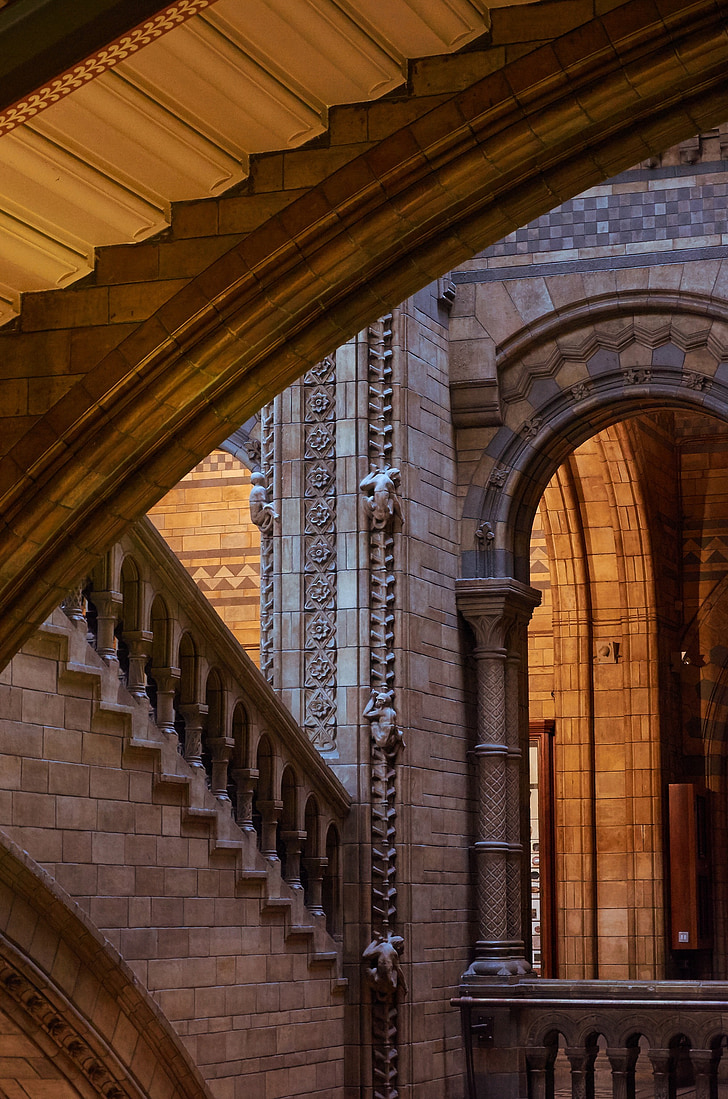 dabas vēstures muzejs, London, kāpnes, salona skats, arhitektūra, ēka, gotika