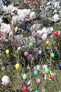 Setmana Santa, ous de Pasqua, Magnòlia, arbust de Pasqua, flor, flor