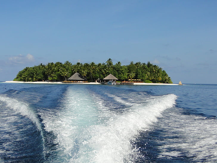 Maldives, mer, vacances, île, eau, Angsana