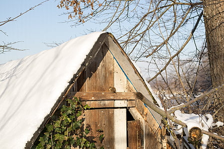 colibă, pasăre, cabina jurnal, animale, iarna, drag, zăpadă