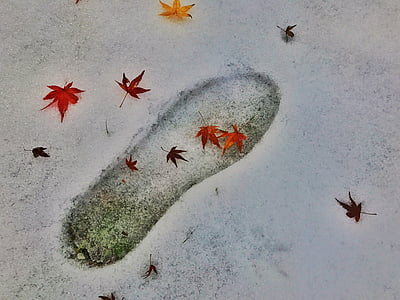 maple, autumn, red, footprints, beautiful, leaf, xue bai