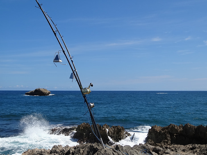 fiske, Ocean, vågor