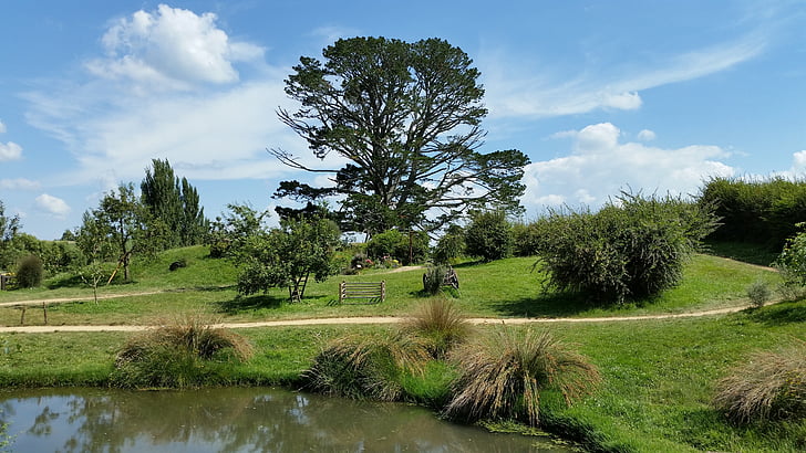 pohon, pemandangan, Hobbiton, Selandia Baru