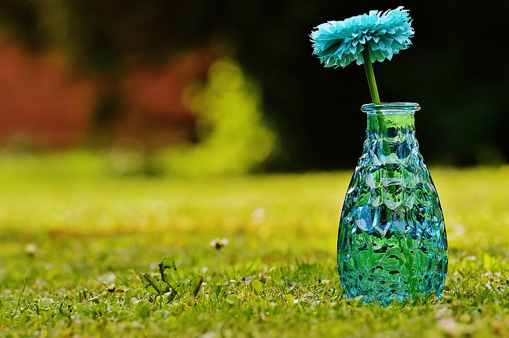 vaso, vidro, flor, decoração, azul, transparente, Deco