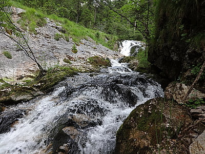 hvid bach, hvid brook klam, Bach, bjergbæk, torrent, Oberbayern, natur