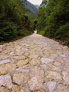 sentiero, pavimenti, pietra, escursionismo, montagna, a piedi, Veneto