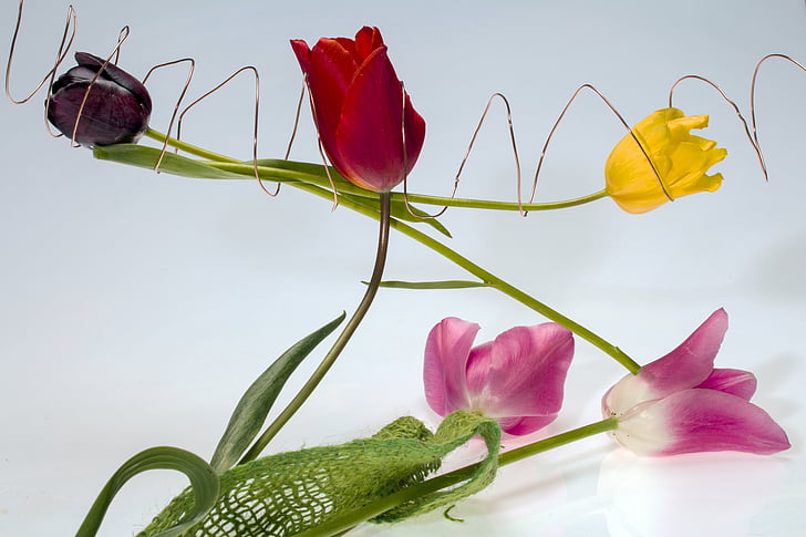 tulips, flowers, wire, spring, yellow, red, pink