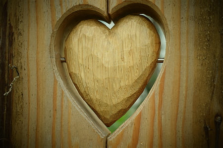 hart, hout, natuur, houtstructuur, hart in het bos, liefde, Raad van bestuur
