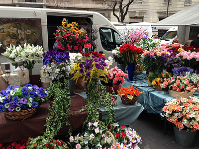 gėlė, parduotuvė, Italija, gėlės, augalai, ne, spalvos