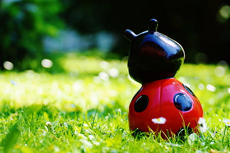 LADYBUG, Slika, zabavno, srečen ladybug, barva, ljubko, točk