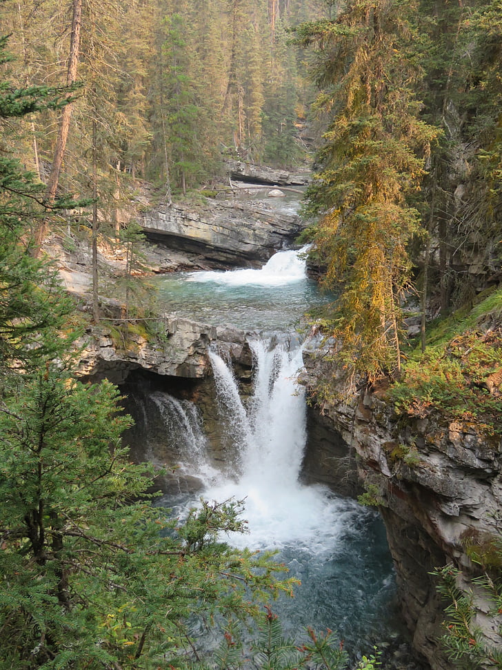 Canadá, naturaleza, cascada, Alberta, Cañón de Johnston