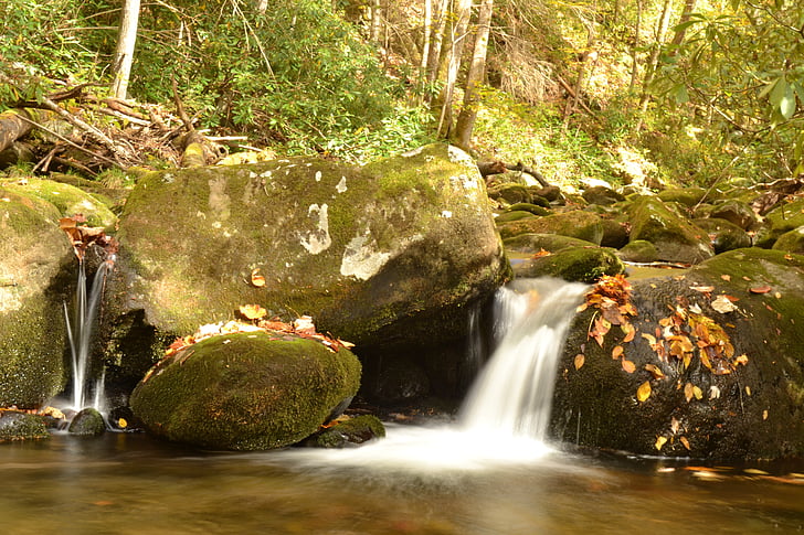 fall, stream, leaves