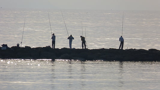 fishermen, sea, fishing