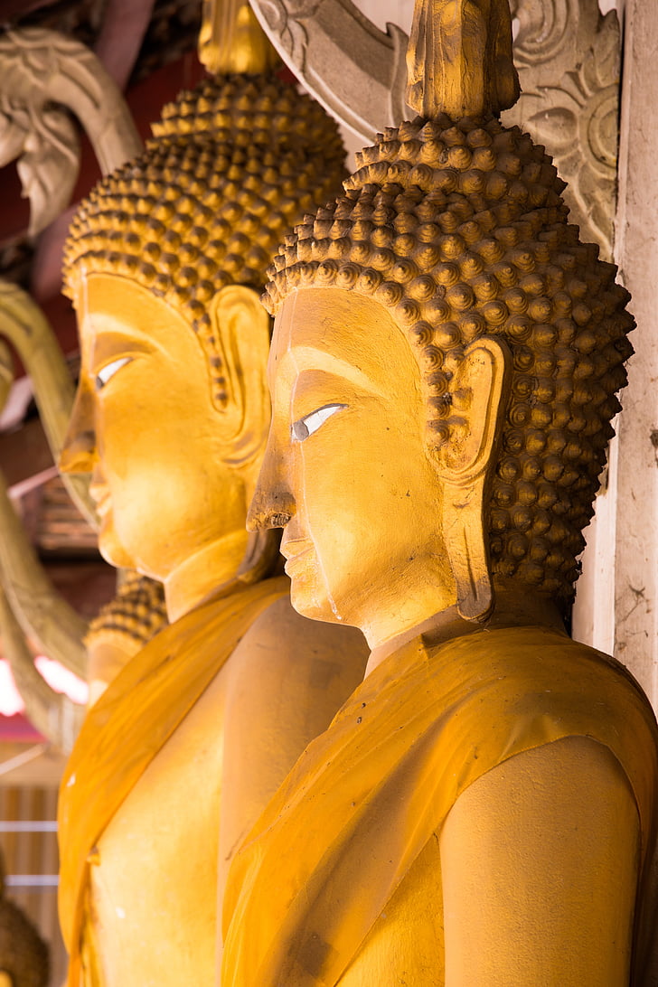 religion, buddha, monks, thailand, buddhism, architecture, measure