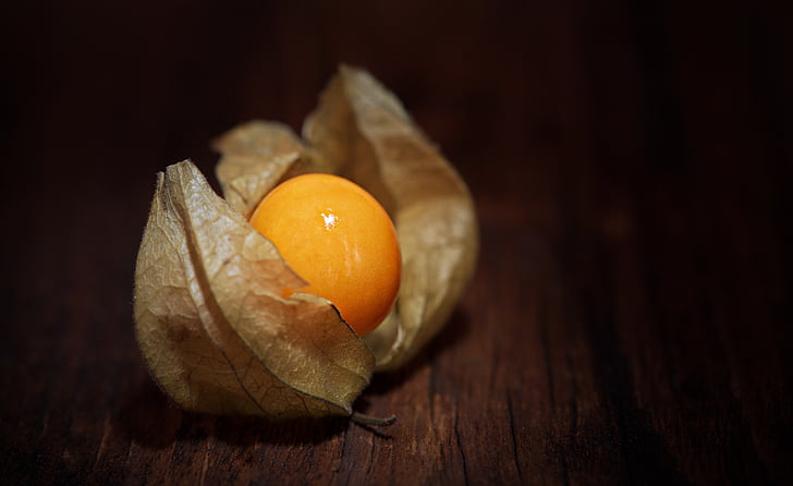 Physalis, Physalis peruviana, grosella espinosa de cabo, cereza de los Andes, Baya de Andes, cerezas de burbuja, naranja