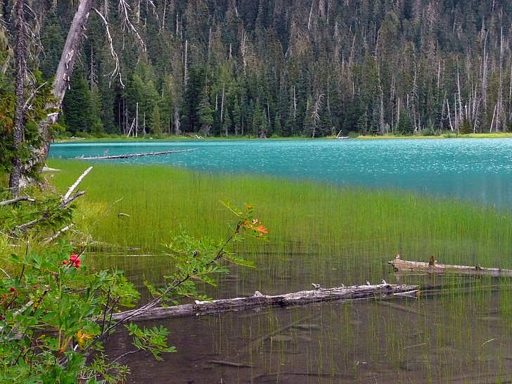 Lac de Joffre, Colombie-Britannique, Canada, Glacier, Lac, montagne, bleu
