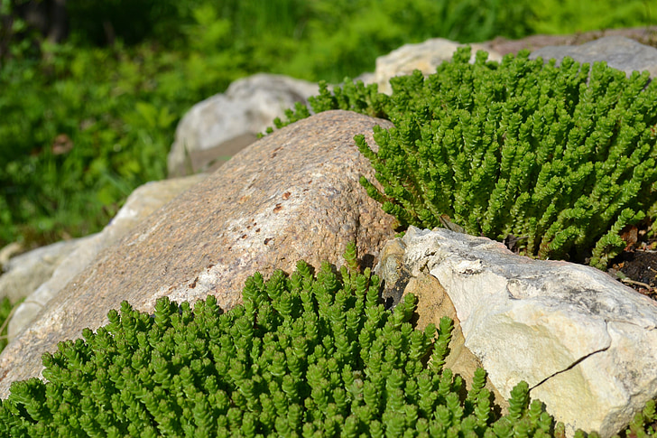 pedras, verdes, slide alpino
