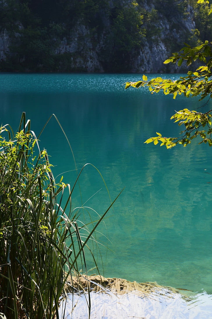 Plitvice, Kroatië, Lake, nationaal park, reed, bomen, licht